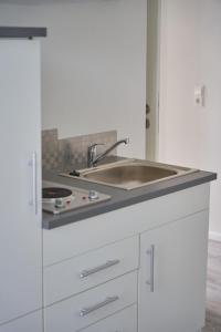 a kitchen with a sink and a counter top at Greenhome Lörrach -Ihre Apartments im 3-Ländereck- in Lörrach