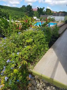 Studio avec piscine, à 3 minutes à pied des plages内部或周边的泳池