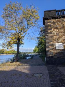 a tree next to a brick wall next to a lake at I Gemütliches 1-Zimmer-Apartment & eigenes Bad I in Neuendorf
