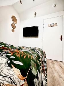 TV a/nebo společenská místnost v ubytování L'Akolito 3ème étage + 1 fotografie
