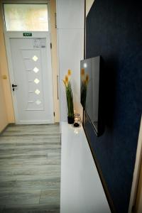 Televiisor ja/või meelelahutuskeskus majutusasutuses Blue apartment