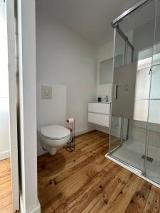 a bathroom with a toilet and a glass shower at Maison cosy rénovée, proche de Carcassonne in Villarzel-Cabardès