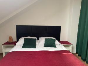 Postel nebo postele na pokoji v ubytování Apartament Solny Wieliczka Centrum 3 + 7 fotografií