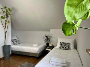 a room with two beds and a potted plant at Apartament Noce i Dnie z prywatnym jacuzzi in Jaworze
