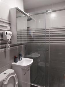 a bathroom with a shower and a toilet and a sink at Sweet home in Šabac +16 photos