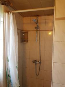 Ένα μπάνιο στο Ferienhaus Uckermark pur