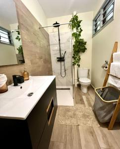 a bathroom with a shower and a sink and a toilet at Le Jardin Privé, appartement standing, piscine, terrasse, jardin, parking privé in Cayenne