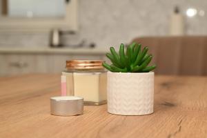 a plant in a white vase sitting on a table at Apartmani Timacum in Knjazevac. +63 photos