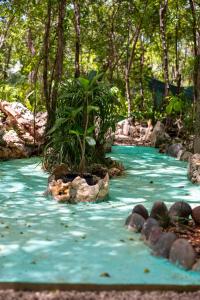 a river with rocks and a tree in the middle at Lovely Villa 1-BR Villa Miguel in Chemuyil