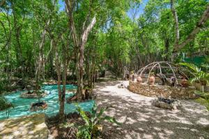 a garden with a pool of water and trees at Lovely Villa 1-BR Villa Miguel in Chemuyil