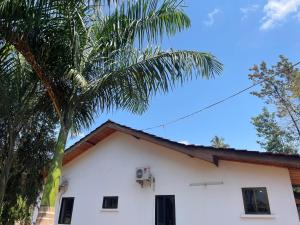 una casa blanca con una palmera al lado en Brian's Hostels, en Moshi