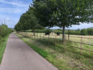 a fence with two cows in a field with a tree at No1 The yard, Regilbury Court, Winford in Bristol +8 photos