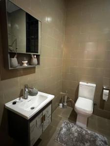a bathroom with a sink and a toilet and a mirror at Cozy 1BR Apt in Kajjansi Airstrip Entebbe in Kajansi