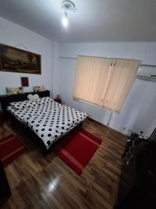 a bedroom with a bed with a black and white comforter at Casa Grazia in Balta Albă