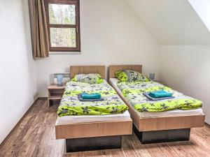 Posteľ alebo postele v izbe v ubytovaní Holiday Home Stárkov by Interhome