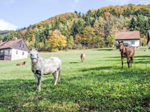 Zvieratá v dovolenkovom dome alebo blízkom okolí