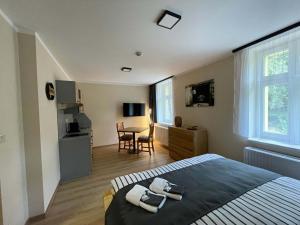 a bedroom with a bed and a table in it at Apartmány U Bernharda in Vítkov