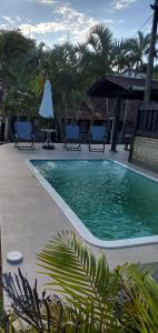 een zwembad met stoelen en een parasol en palmbomen bij Quintal da Mole in Florianópolis