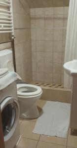 Vannituba majutusasutuses Marija apartmani
