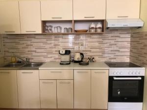 Η κουζίνα ή μικρή κουζίνα στο Alex Apartment