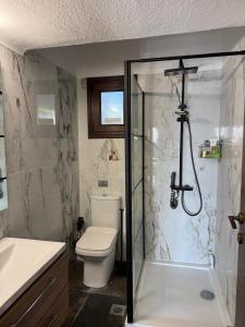 a bathroom with a shower and a toilet and a sink at Elia Sea View Apartments 2 in Elia +57 photos
