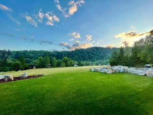 a large field with rocks in the grass at Apartmány U Bernharda in Vítkov