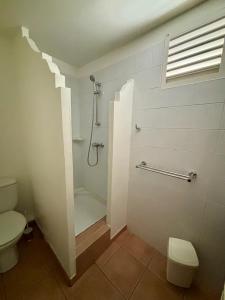 a bathroom with a shower and a toilet at Studio Zandoli P&V in Sainte-Luce
