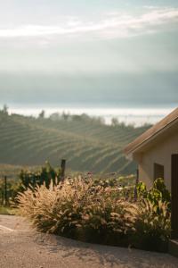 a bush next to a house with mountains in the background at Sorapiana in Vidor
