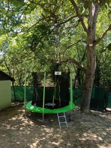 a green swing in front of a tree at Happy house in Velika Remeta