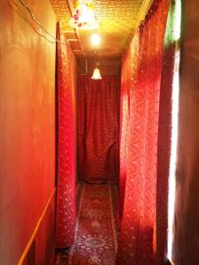 斯利那加Veena Palace Group Of Houseboats的相册照片
