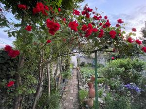Zahrada ubytování B&B chez Sylvain