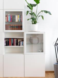 The library in Az apartmant