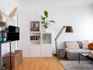 The library in Az apartmant