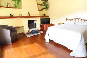 ein Schlafzimmer mit einem Bett und einem Kamin in der Unterkunft Rosa Casa Dália in Gramado