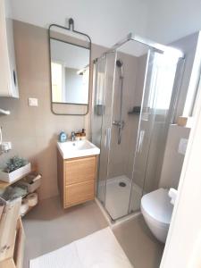 a bathroom with a shower and a sink and a toilet at Apartment Krisz in Budapest
