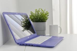 un computer portatile blu seduto su una scrivania con una pianta di Apartamentos Económicos | 10 minutos Sevilla | BA ad Alcalá del Río