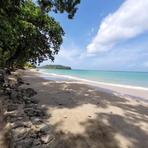 卡斯特里ADA APARTMENTS Saint Lucia的相册照片