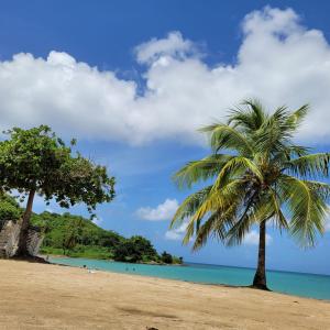 卡斯特里ADA APARTMENTS Saint Lucia的相册照片