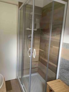 a shower with a glass door in a bathroom at Appartamento centralissimo ski in - ski out in Breuil-Cervinia