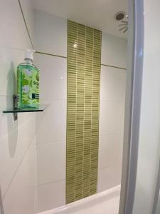 baño con espejo y botella de enjuague bucal en Chez Pascal Sissi -Au Coeur de Vignes, parking free, en Châteauthébaud 18 fotos más
