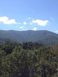Φωτογραφία από το άλμπουμ του summers dream log cabin σε Luray