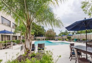 een zwembad met tafels en stoelen en een palmboom bij Brent House Hotel in New Orleans