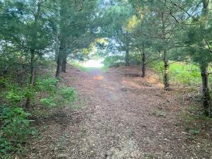 a dirt road in the middle of a forest at 8 Acres on Betsie River River front Trails Disc golf in Thompsonville