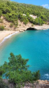 a view of a beach with a tree in the foreground at Villetta Roberto Le Macine di Charme - Pugnochiuso Resort in Vieste