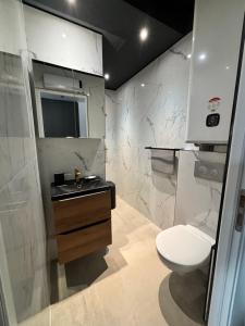 a bathroom with a toilet and a sink and a shower at Cosy 2p in Cagnes-sur-Mer
