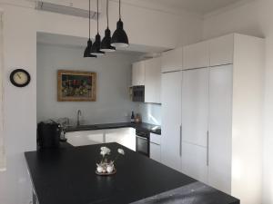 Kuchyňa alebo kuchynka v ubytovaní Maison de maître Les toiles à Elise