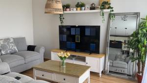 TV a/nebo společenská místnost v ubytování ذا ڤاين the vine