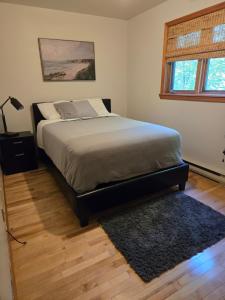 ein Schlafzimmer mit einem großen Bett und einem Teppich in der Unterkunft Rustic Hideaway in Nauwigewauk