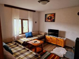 a living room with two couches and a tv at Вила Леска in Leska
