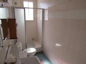 a bathroom with a toilet and a sink and a shower at L'Oustal in Naves